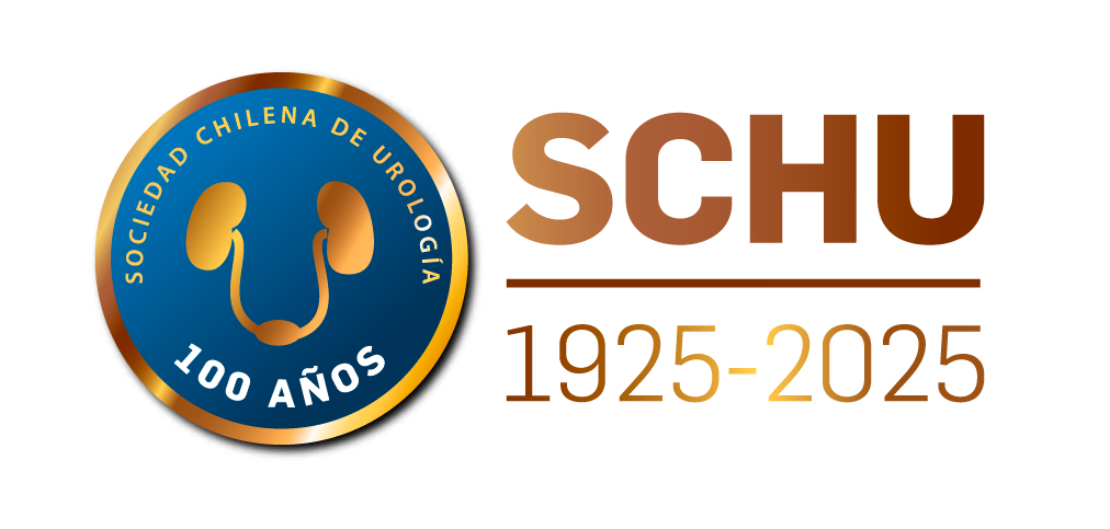 Curso SCHU Centenario