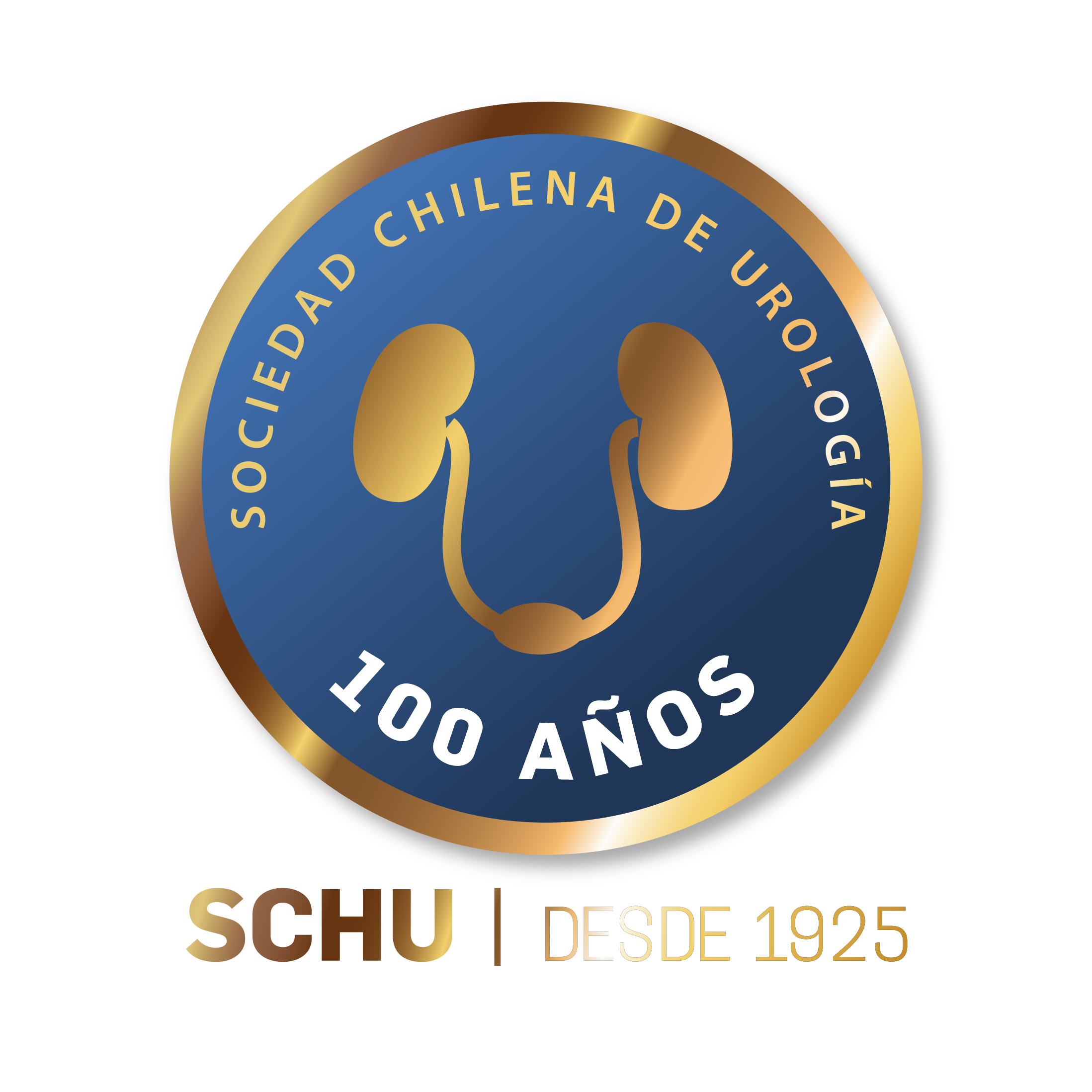 Curso Anual SCHU 2026