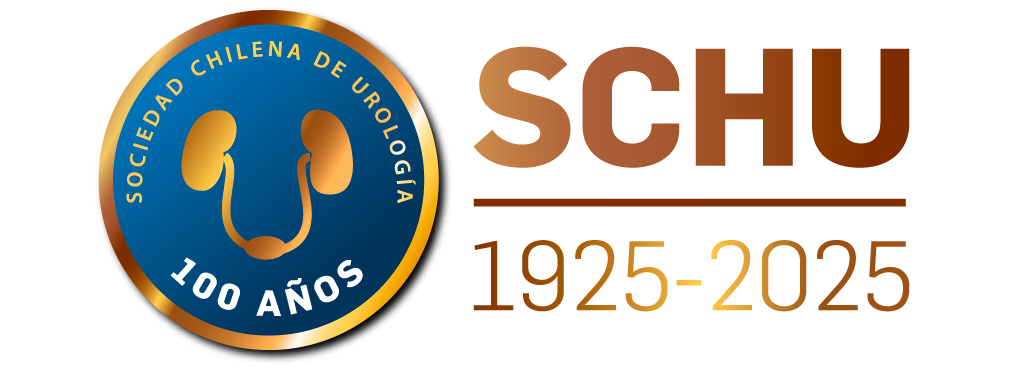 Curso Anual SCHU 2026